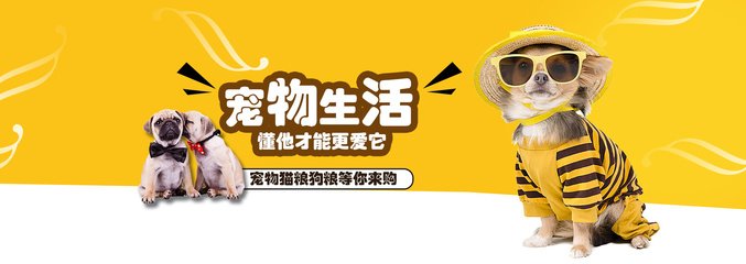 777788888888管家婆